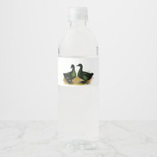Ducks:  Cayuga Pair Water Bottle Label