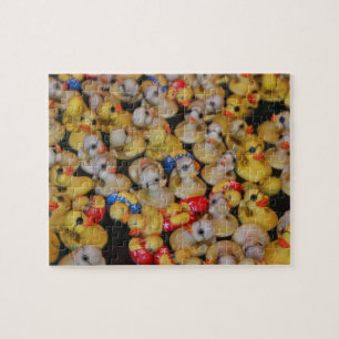Ducks, Ducks and more Ducks Puzzle