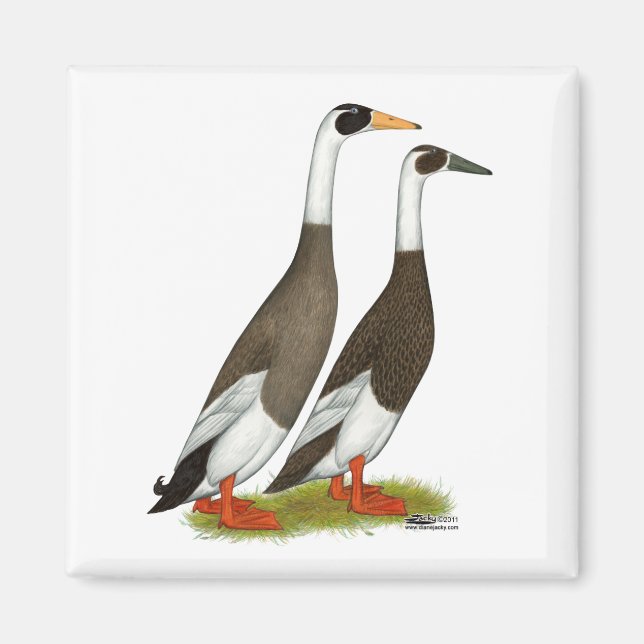 Ducks:  Emery Penciled Runners Magnet (Front)