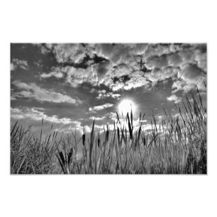 Duck's Eye View Photo Print