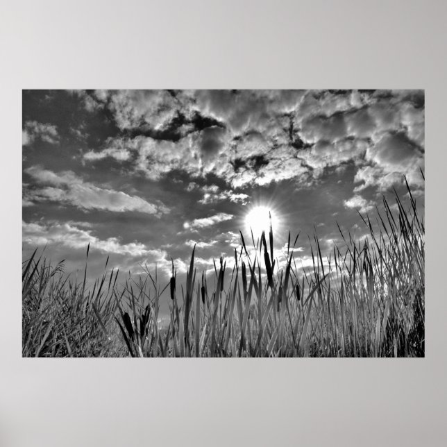 Duck's Eye View Poster (Front)