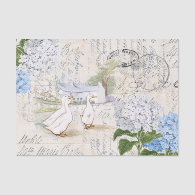 Ducks Farmhouse Flowers Italian Tissue Paper (Front)