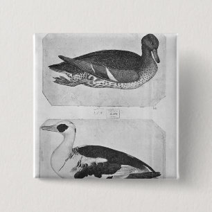 Ducks, from the The Vallardi Album 2 Inch Square Button