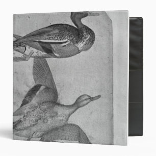 Ducks, from the The Vallardi Album Binder