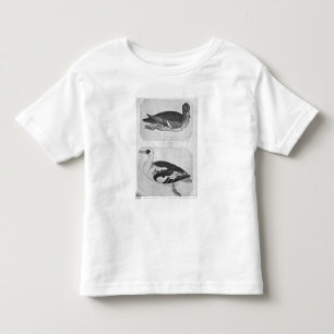 Ducks, from the The Vallardi Album Toddler T-shirt
