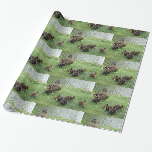 Ducks gift wrapping paper
