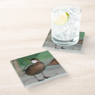 Ducks Glass Coaster