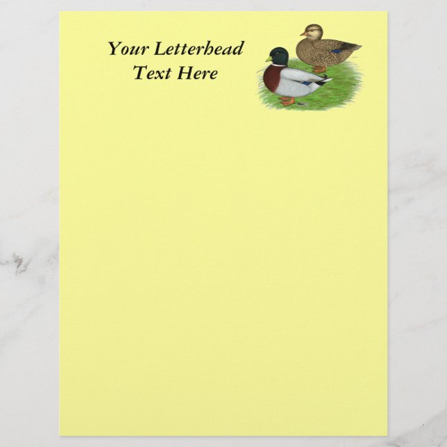 Ducks:  Grey Calls (Front)