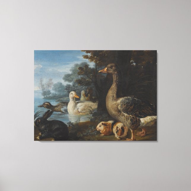 Ducks Guinea Pigs and a Rabbit in a Wooded Landsc Canvas Print (Front)