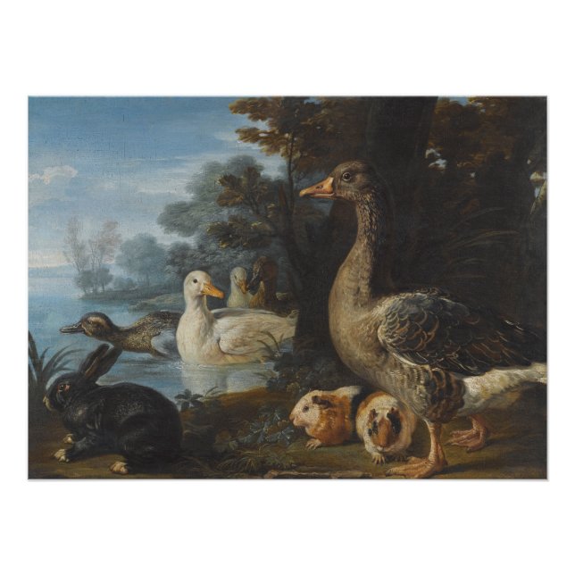 Ducks Guinea Pigs and a Rabbit in a Wooded Landsc Photo Print (Front)