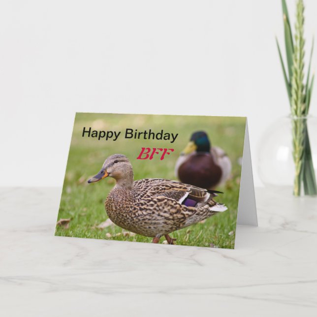 Ducks Happy Birthday BFF Card (Front)