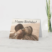 Ducks Happy Birthday Card