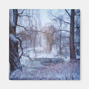 Ducks In A Frozen Pond In New York’s Central Park Magnet