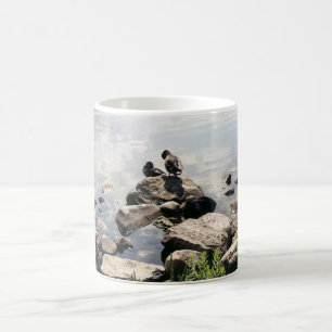 ducks in a river coffee mug