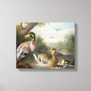 Ducks in a River Landscape Canvas Print