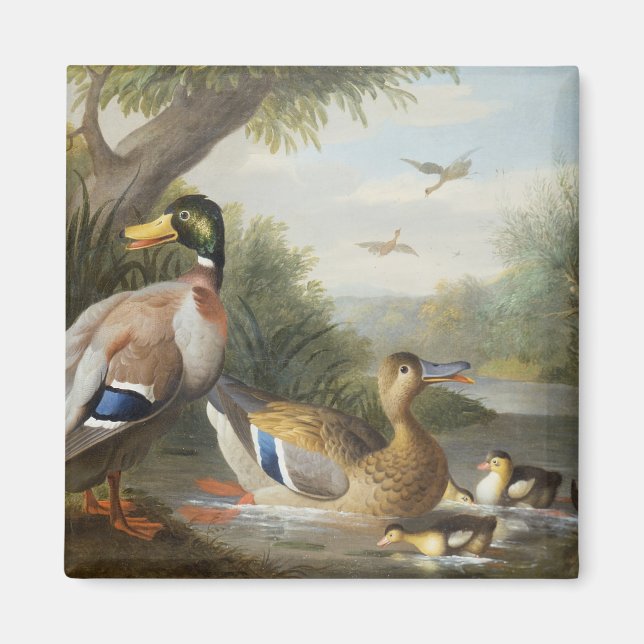 Ducks in a River Landscape Magnet (Front)