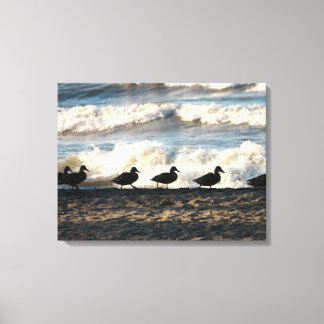 Ducks in a row canvas print