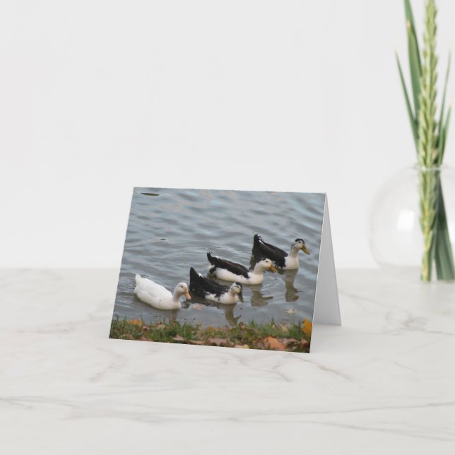 Ducks in a Row note card (Front)