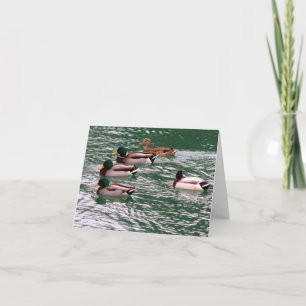 Ducks in a Row note card (blank)