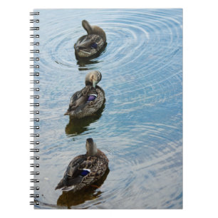 Ducks in a Row Notebook