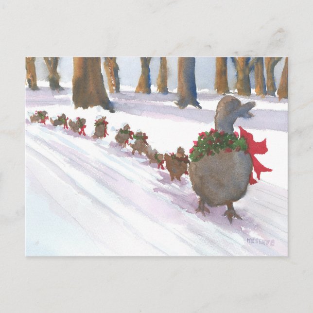 ducks in boston common during the winter holidays holiday postcard (Front)