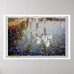 Ducks in Dock ll Poster