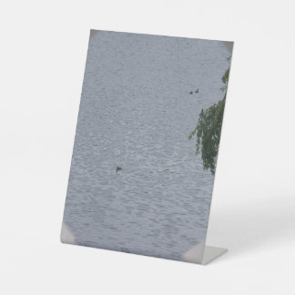 Ducks In Pond Photo Pedestal Sign