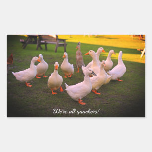 Ducks in the Park Funny We're all Quackers Sticker