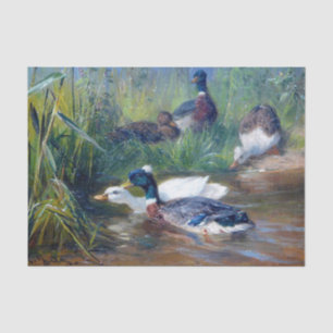 Ducks in the Pond by Carl Jutz Tissue Paper