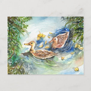Ducks In The Pond Postcard