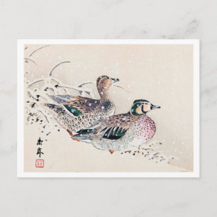 Ducks in the Snow, Imao Keinen Postcard