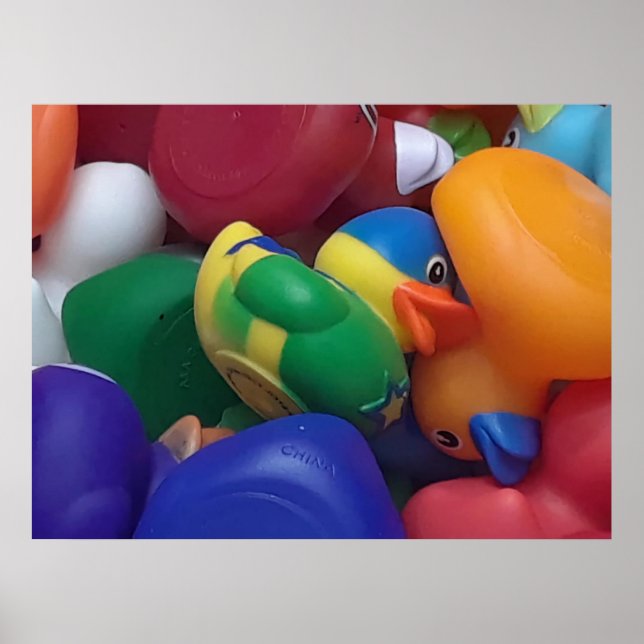 Ducks Ken Gauge Photography Poster (Front)