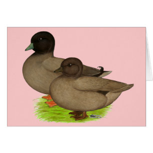 Ducks: Khaki Calls