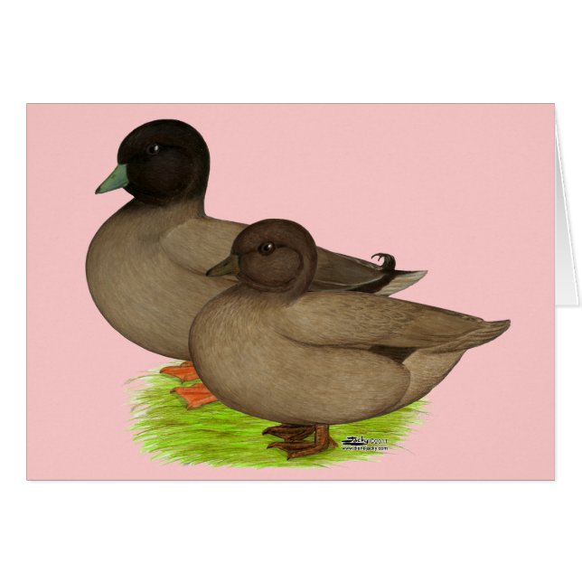 Ducks:  Khaki Calls (Front Horizontal)