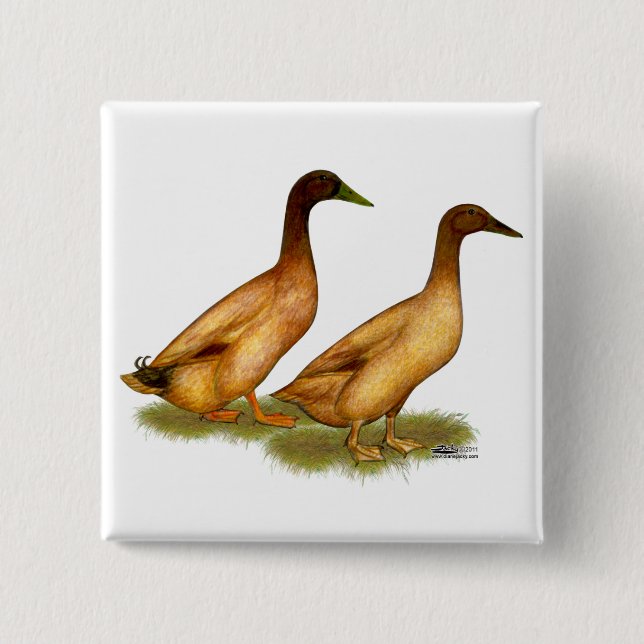 Ducks:  Khaki Campbell 2 Inch Square Button (Front)
