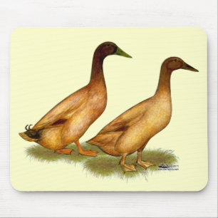 Ducks:  Khaki Campbell Mouse Pad