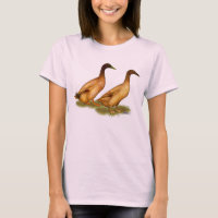 Ducks:  Khaki Campbell