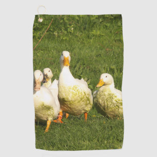 ducks, live, meadow, animal, farm, country life, golf towel