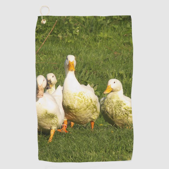 ducks, live, meadow, animal, farm, country life, golf towel (Front)