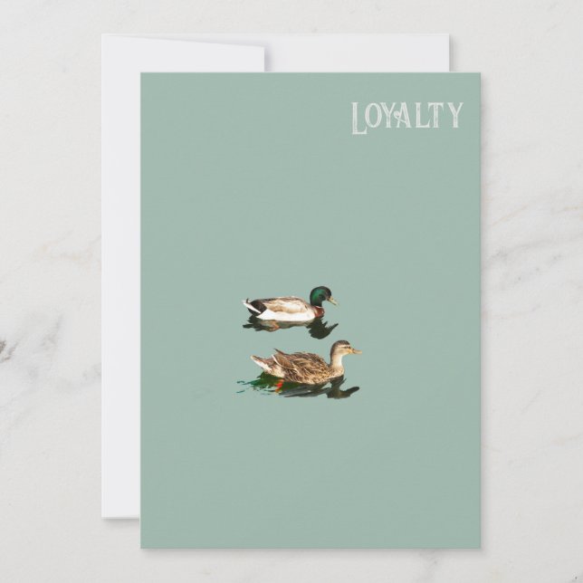 Ducks loyalty save the date (Front)