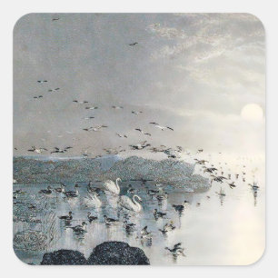 Ducks, Mallards and Swans on the lake at sunset Square Sticker