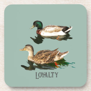 Ducks mallards coaster