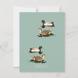 Ducks mallards edible frosting rounds postcard