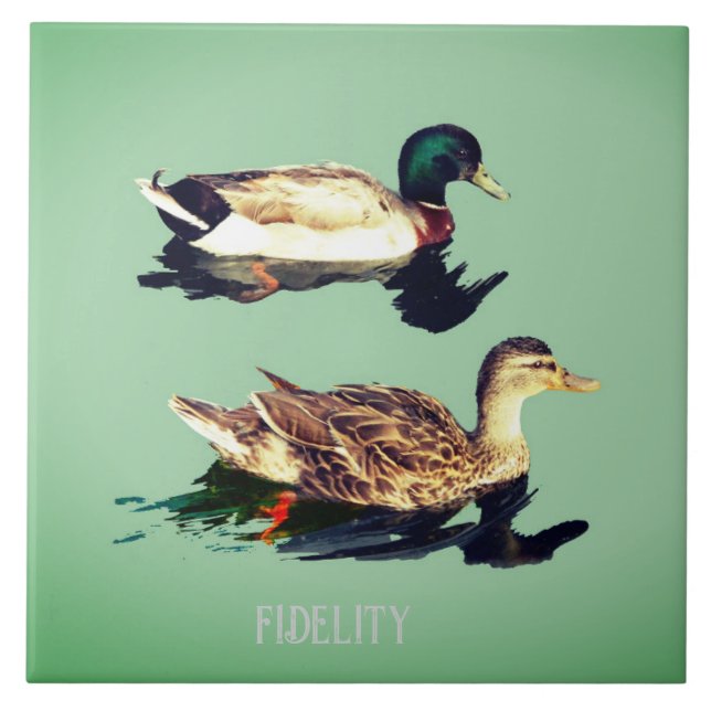 Ducks mallards edible frosting rounds tile (Front)