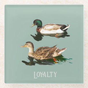 Ducks mallards glass coaster