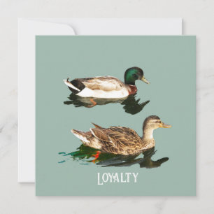 Ducks mallards holiday card