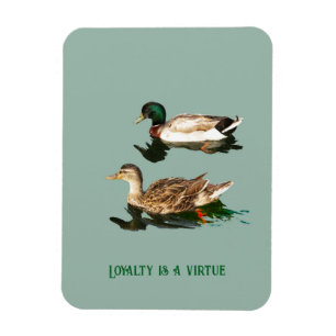 Ducks mallards magnet