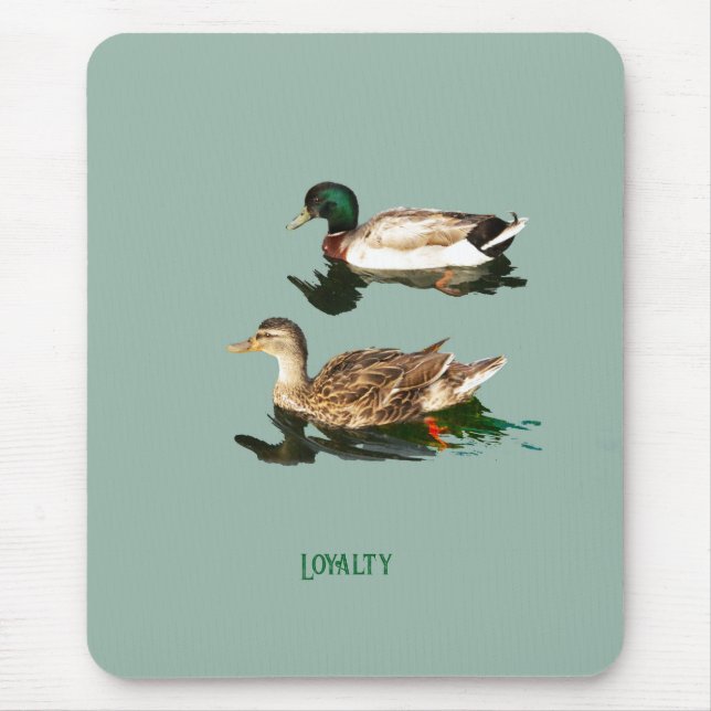 Ducks mallards mouse pad (Front)
