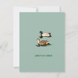 Ducks mallards postcard