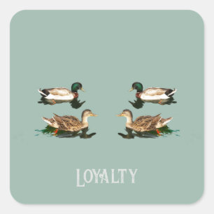 Ducks mallards square sticker